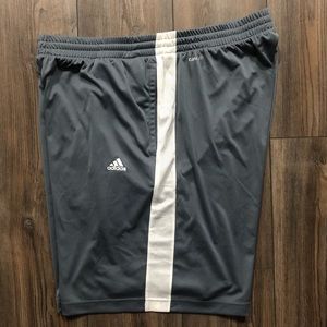 Gray & White adidas ClimaLite Shorts